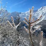 Alpenrose 아파트
