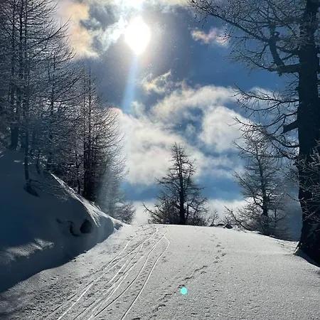 Alpenrose *