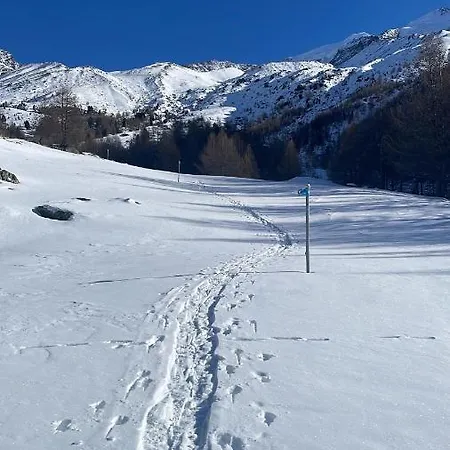 דירה Alpenrose *