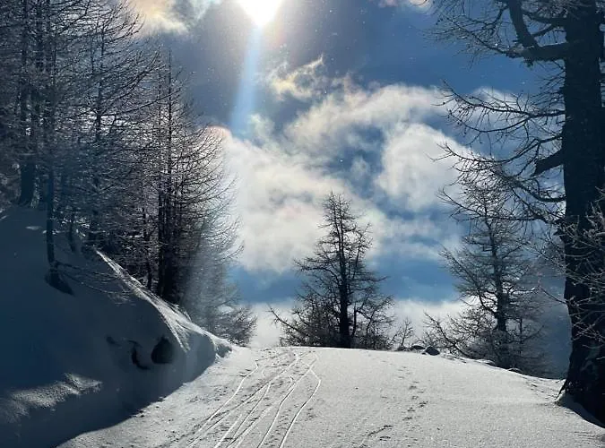 Alpenrose *