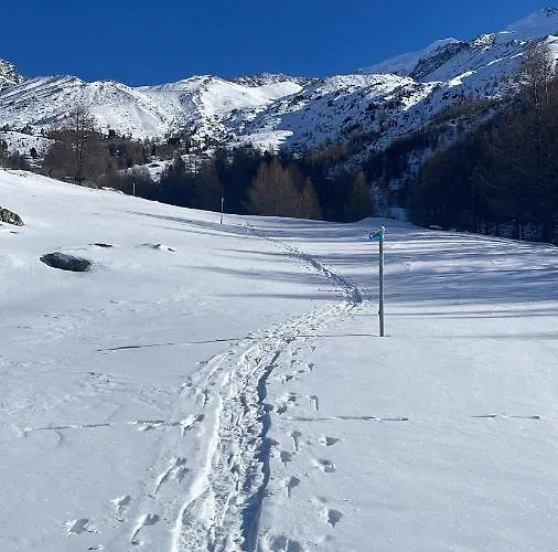 Apartamento Alpenrose *